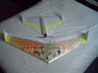 raptor011.jpg (46050 octets)