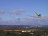 tigr20072.jpg (23688 octets)