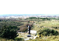 tigre13.jpg