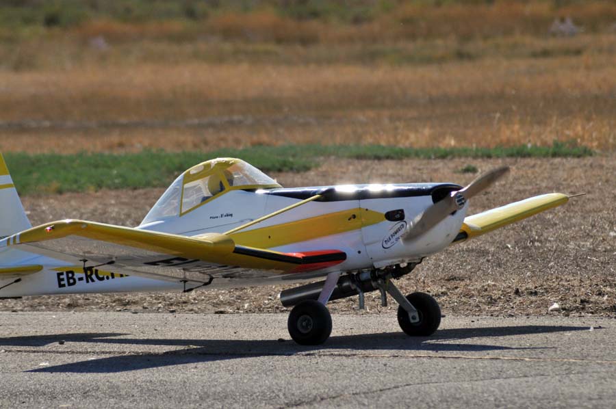 JourneePlaneurs2013_036