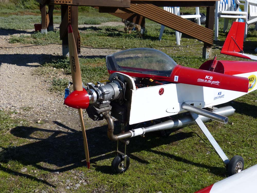 JourneePlaneurs2015Alain16