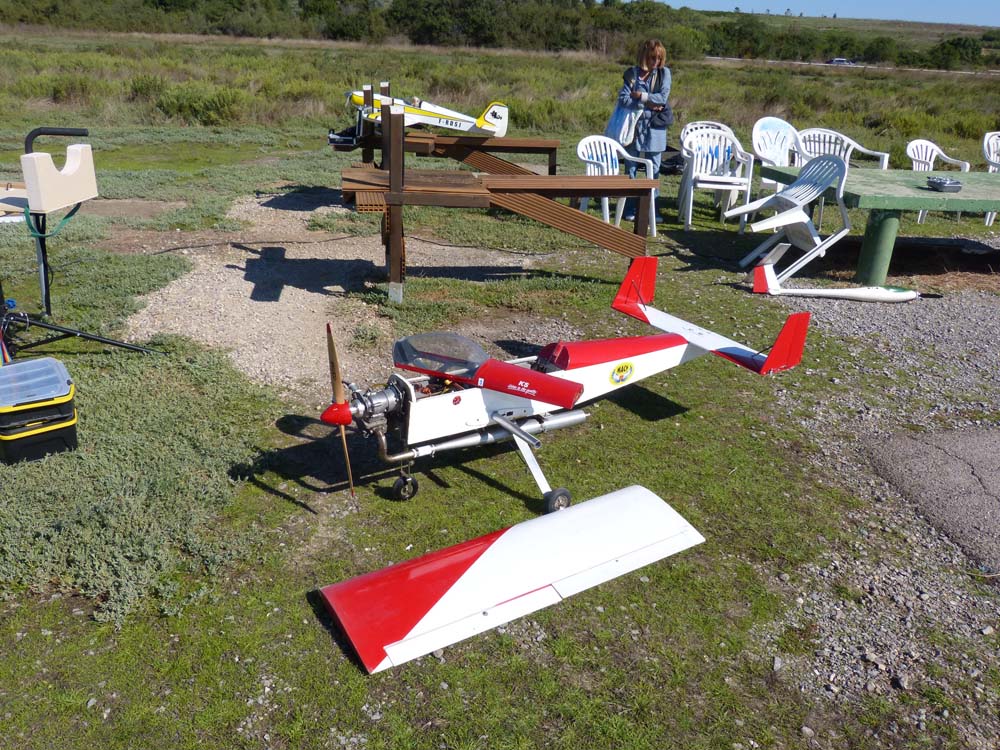 JourneePlaneurs2015Alain17